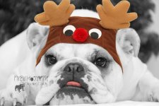 IMG_8602 6 watermark.jpg IMG_8602 6 watermark.jpg