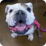 lola.jpg lola.jpg