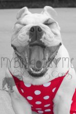IMG_318812 watermarked.jpg IMG_318812 watermarked.jpg