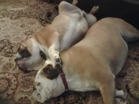 20130703_210805.webp