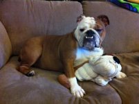 Guinness and her BF.jpg Guinness and her BF.jpg