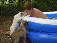 bradley, zeek & Stanley coolin off....webp