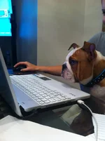 PipiComputer.webp