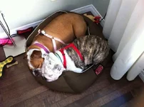 ImageUploadedByTapatalk1326936062.050320.webp