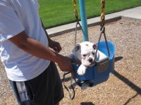she really liked the swing lol she really liked the swing lol