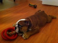 IMG_0040.jpg IMG_0040.jpg
