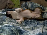 X-mas 2010 441.webp
