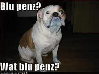 bluepenz.webp bluepenz.webp