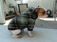 NewSweater041211 002.jpg NewSweater041211 002.jpg