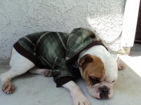 NewSweater041211 006.jpg NewSweater041211 006.jpg