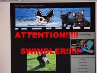 EXOTICHFRENCIES.COM%20(%20SWINDLER%20!!!%20)[1].webp