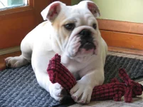 Emmie 061.webp