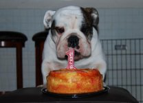 Jack's Bday1.jpg Jack's Bday1.jpg