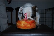 Jacks Bday2.jpg Jacks Bday2.jpg