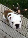 coco10w - Copy.webp