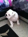 coco10w1.jpg