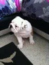 coco10w1.webp