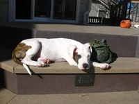 4-17-11 (38).webp