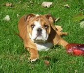 zoey 017.webp
