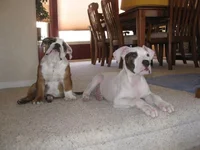 4-17-11 (18).webp