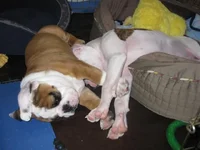 4-17-11 (11).webp