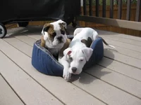 4-16-11 (5).webp