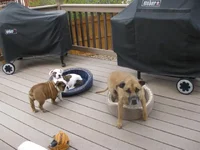 4-16-11 (4).webp 4-16-11 (4).webp