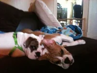 IPhone 024.webp