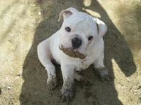 DSCN1015.webp