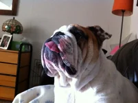 ImageUploadedByTapatalk1327052100.797967.webp
