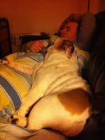 ImageUploadedByTapatalk1327052144.074852.webp