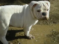 DSCN1011.webp