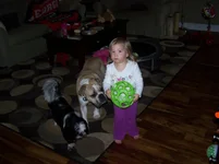 100_5996.webp