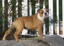 _DSC0016.webp