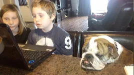 2011-03-16_12-53-33_508_Hamilton.webp