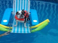 chester lifejacket.jpg chester lifejacket.jpg