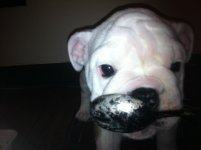 IMG_3753.jpg IMG_3753.jpg