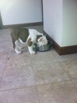 IMG_3764.jpg IMG_3764.jpg