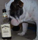 Drunk Jack2.webp