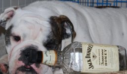 Drunk Jack.jpg