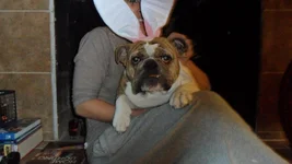 X-mas 2010 514.webp