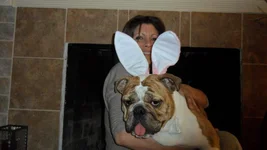 X-mas 2010 512.webp