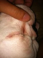 ImageUploadedByTapatalk1311717113.926326.webp ImageUploadedByTapatalk1311717113.926326.webp
