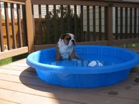 5-8-11.webp