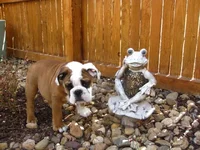 4-17-11 (42).webp