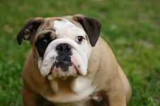 Guinness5Months.webp
