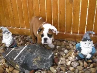 4-17-11 (43).webp