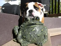 4-17-11 (27).webp