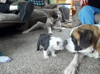 100_0169.webp