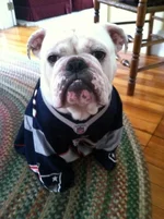 Patriots!.webp